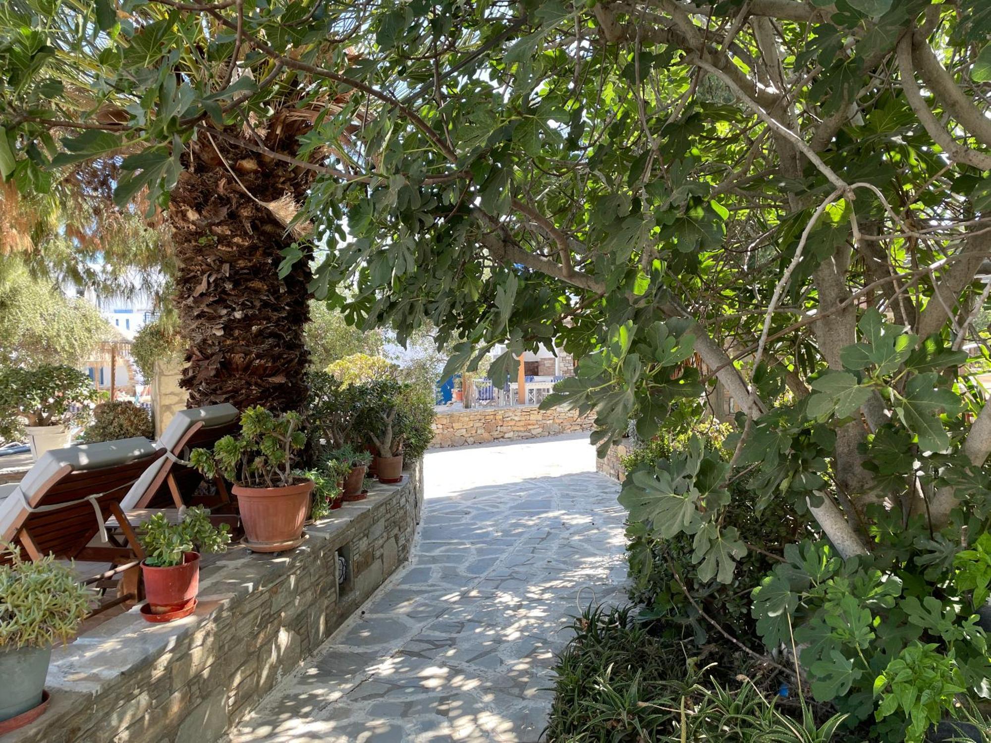 Ioanna Aparthotel Agios Prokopios (Naxos)